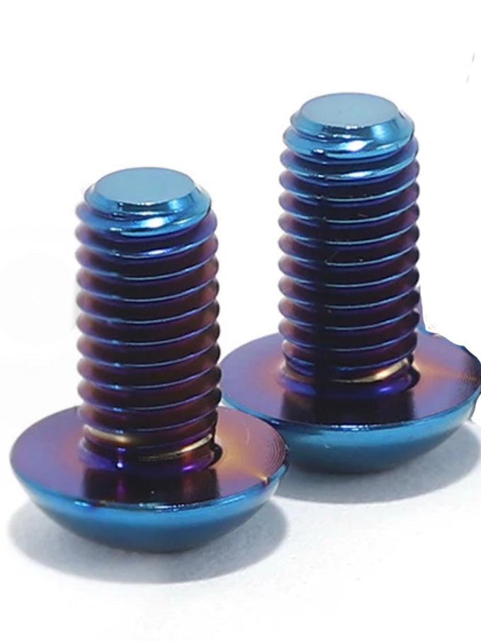 Ultra bee brake titanium resivour bolts